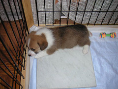 Resize of M2005080905_thumb.jpg